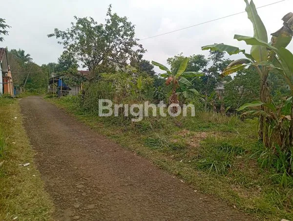 image TANAH COCOK UNTUK VILLA (6)