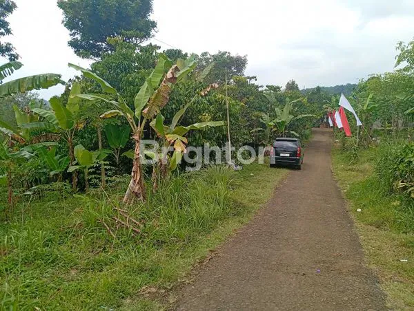 image TANAH COCOK UNTUK VILLA (3)