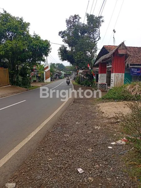 image TANAH COCOK UNTUK VILLA (7)