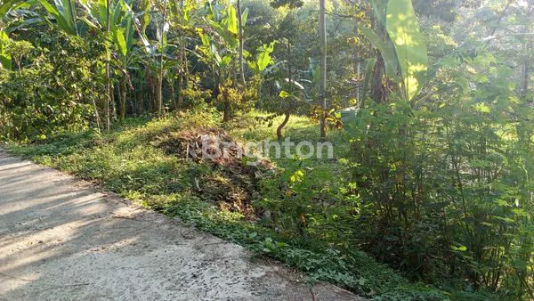 image TANAH SIAP BANGUN GETASAN KOPENG SALATIGA (2)