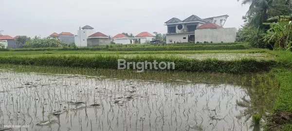 image TANAH VIEW SAWAH LOKASI SAYAN UBUD GIANYAR (4)