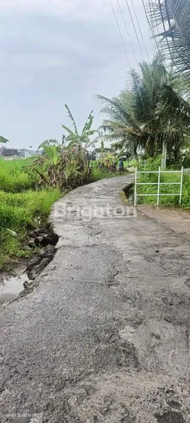 image TANAH VIEW SAWAH LOKASI SAYAN UBUD GIANYAR (5)