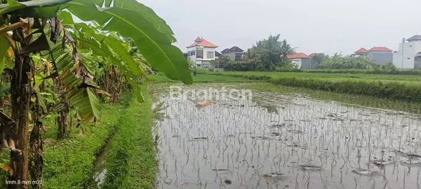 image TANAH VIEW SAWAH LOKASI SAYAN UBUD GIANYAR (3)