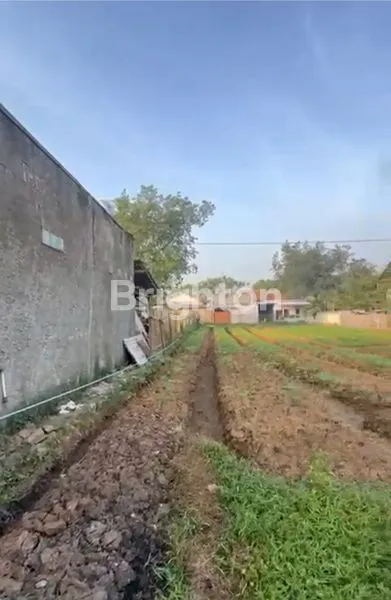 image TANAH KAVLING KEBUN KP SELANG TENGAH WANASARI CIBITUNG BEKASI INVESTASI MASA DEPAN MENGUNTUNGKAN (1)