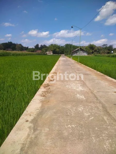 image TANAH SELUAS 2.900 M² DI DEKAT JALAN RAYA (2)