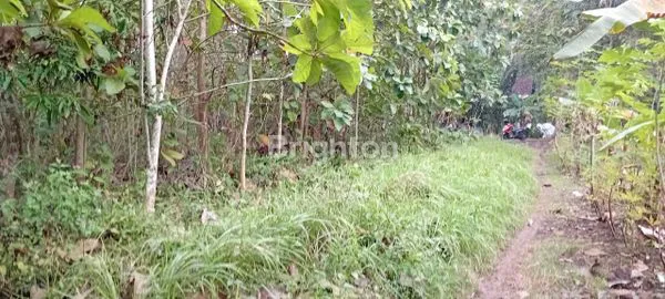 image TANAH PEKARANGAN DI WATES (4)