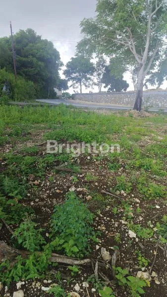 image ON SALE TANAH STRATEGIS NUSA DUA (5)