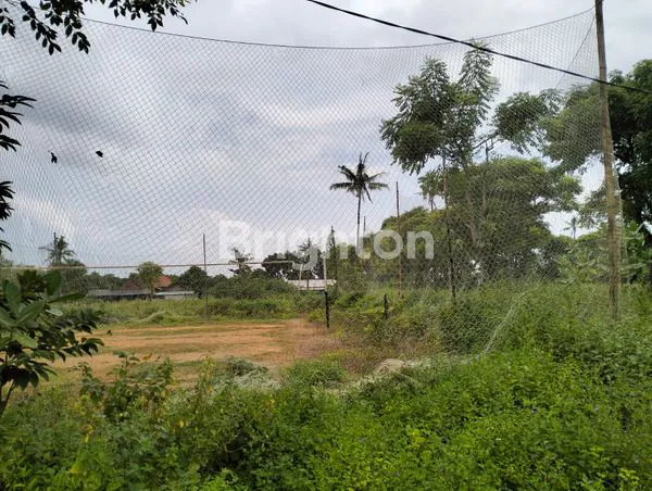 image TANAH PREMIUM 8200M² TEPI PANTAI PURANCAK, JEPARA - SHM (5)