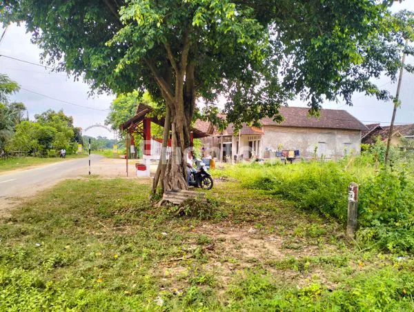 image TANAH PREMIUM 8200M² TEPI PANTAI PURANCAK, JEPARA - SHM (4)