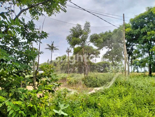 image TANAH PREMIUM 8200M² TEPI PANTAI PURANCAK, JEPARA - SHM (3)