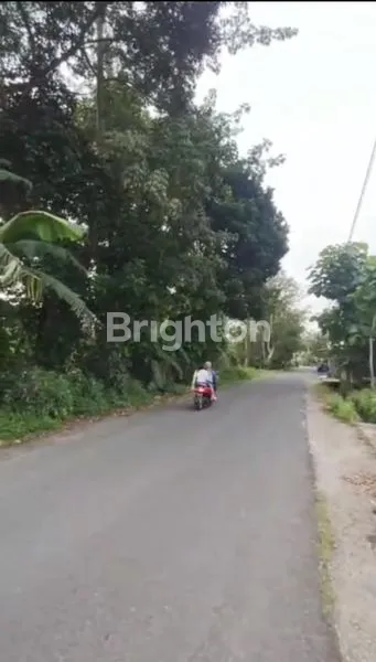 image TANAH SAWAH LUAS MURAH LOKASI STRATEGIS DEKAT EXIT TOL SAYEGAN (3)