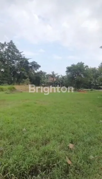 image TANAH SAWAH LUAS MURAH LOKASI STRATEGIS DEKAT EXIT TOL SAYEGAN (7)