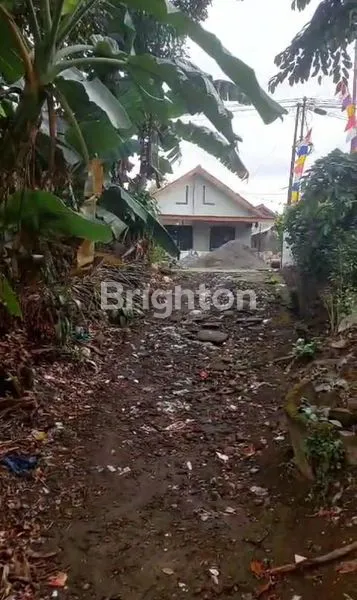image TANAH SAWAH LUAS MURAH LOKASI STRATEGIS DEKAT EXIT TOL SAYEGAN (5)