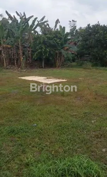 image TANAH SAWAH LUAS MURAH LOKASI STRATEGIS DEKAT EXIT TOL SAYEGAN (6)