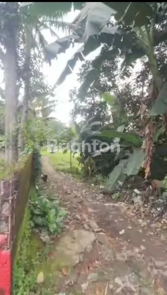 image TANAH SAWAH LUAS MURAH LOKASI STRATEGIS DEKAT EXIT TOL SAYEGAN (2)