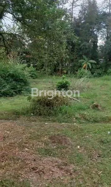 image TANAH SAWAH LUAS MURAH LOKASI STRATEGIS DEKAT EXIT TOL SAYEGAN (8)