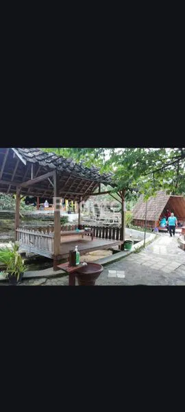 image  EX - RUMAH MAKAN AYAM TALIWANG (2)
