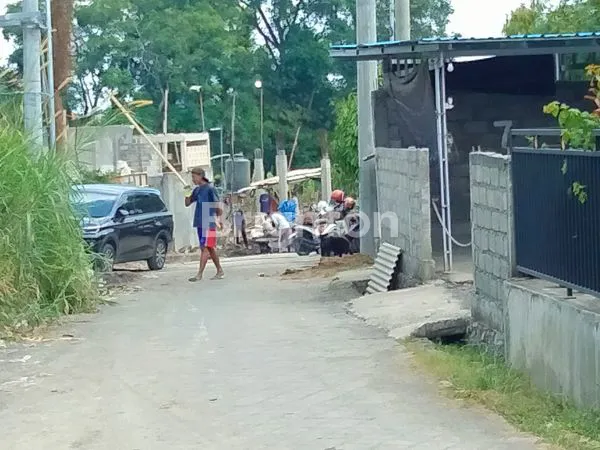 image DISEWAKAN TANAH LOKASI SANGAT STRATEGIS DAERAH CANGGU PERENAN LOKASI VILLA YANG BERKEMBANG  (3)