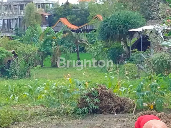 image DISEWAKAN TANAH LOKASI SANGAT STRATEGIS DAERAH CANGGU PERENAN LOKASI VILLA YANG BERKEMBANG  (5)