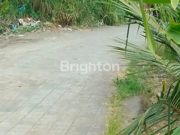 image DISEWAKAN TANAH LOKASI SANGAT STRATEGIS DAERAH CANGGU PERENAN LOKASI VILLA YANG BERKEMBANG  (6)