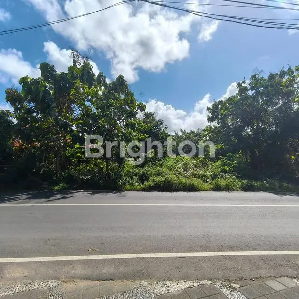 image LAHAN OCEAN VIEW DI JALAN UTAMA BELIMBING SARI, PECATU - BALI (1)