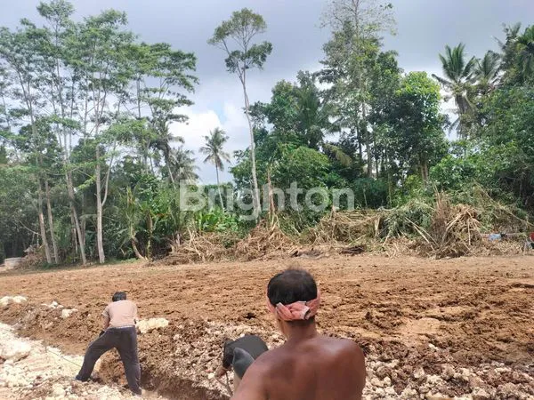 image DIJUAL TANAH KAPLING DI SEMBUNG (3)