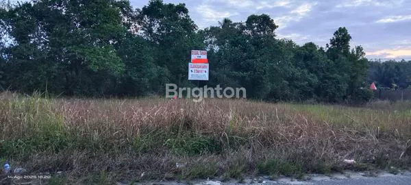 image TANAH KOMERSIAL 1 HA DI JALAN LIMBUNGAN, STRATEGIS DEKAT JALAN SUDIRMAN (1)