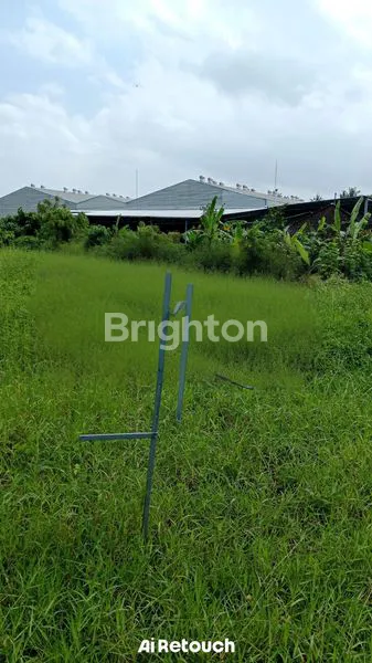 image TANAH DIJUAL DI TABANAN (4)