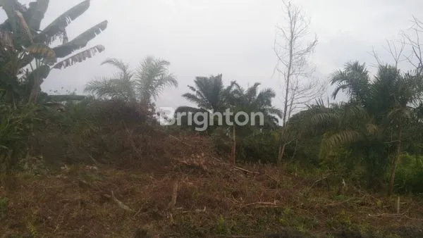 image DIJUAL TANAH DITENGAH KOTA (1)