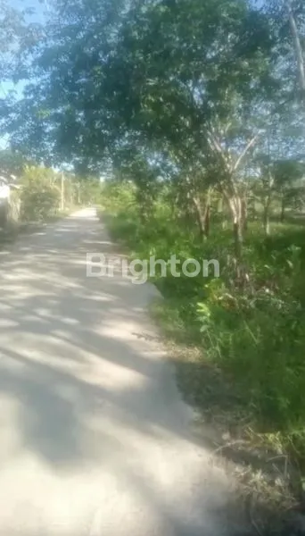 TANAH YG SIAP PAKAI DAN DITEMPAT STRATEGIS