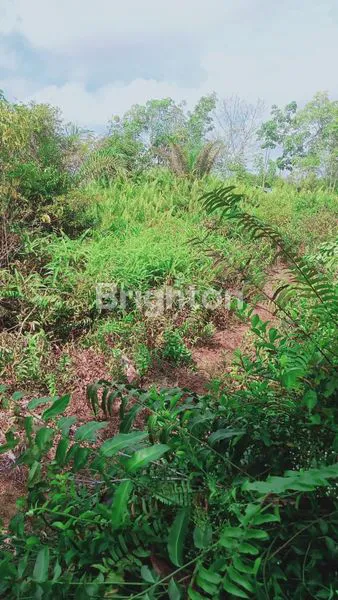 image TANAH LUAS 9.7 HA STRATEGIS DEKAT A.YANI 3 - KUBU RAYA (3)