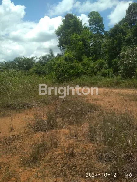 DI JUAL TANAH, PINGGIR JALAN, LUAS 7 HA, DAERAH TAYAN, KAB. SANGGAU