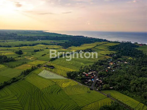 TANAH LUAS 24,2 ARE DI TEGAL MENGKEP TABANAN