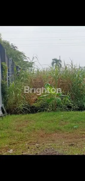 image TANAH SIAP DIBANGUN GUDANG (1)