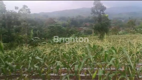 image LAHAN TANAH SEBAGAI INVESTASI (3)