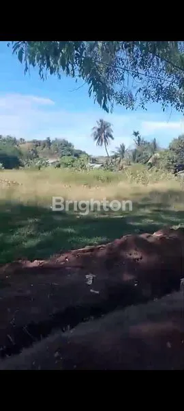 TANAH 4 HA DI LOK SEUMAWEH - ACEH