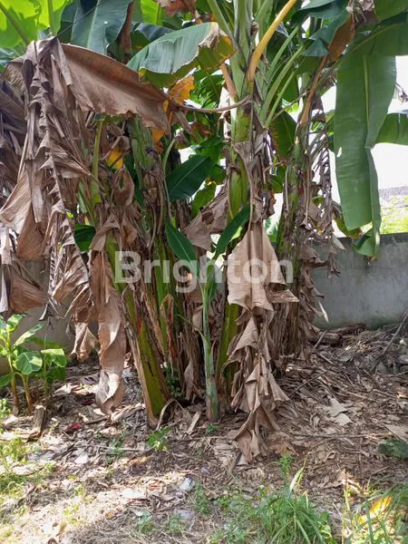 image TANAH KAVLING 50M² STRATEGIS DI PONDOK MELATI - SHM LENGKAP (2)