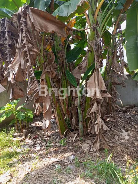 image TANAH KAVLING 50M² STRATEGIS DI PONDOK MELATI - SHM LENGKAP (3)