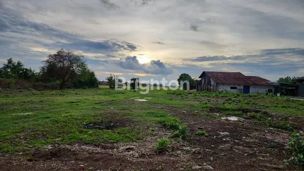 image TANAH DI HAURGEULIS INDRAMAYU (7)