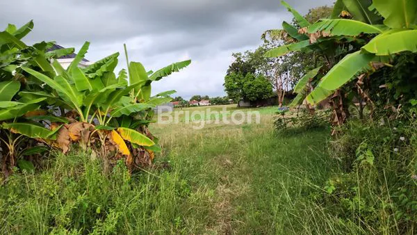 image TANAH DI HAURGEULIS INDRAMAYU (6)