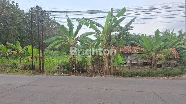 image TANAH DI HAURGEULIS INDRAMAYU (5)