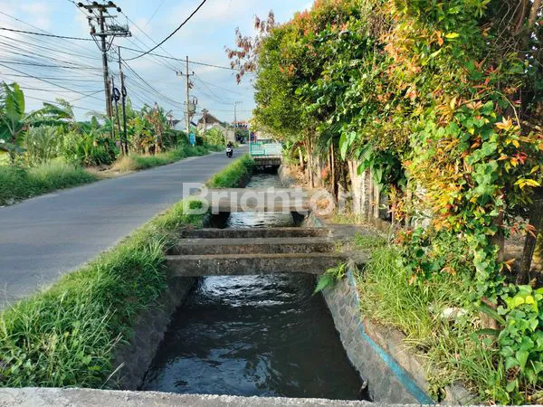 image DISEWAKAN TANAH DI PINGGIR JALAN PANDAK (4)