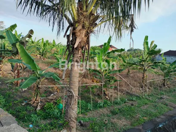 image DISEWAKAN TANAH DI PINGGIR JALAN PANDAK (5)