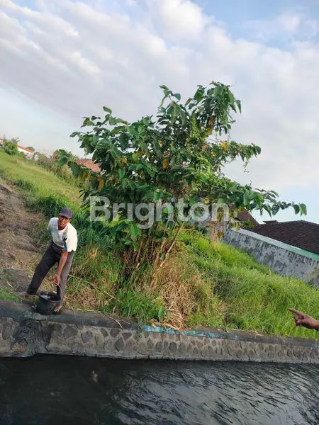image DISEWAKAN TANAH DI PINGGIR JALAN PANDAK (6)