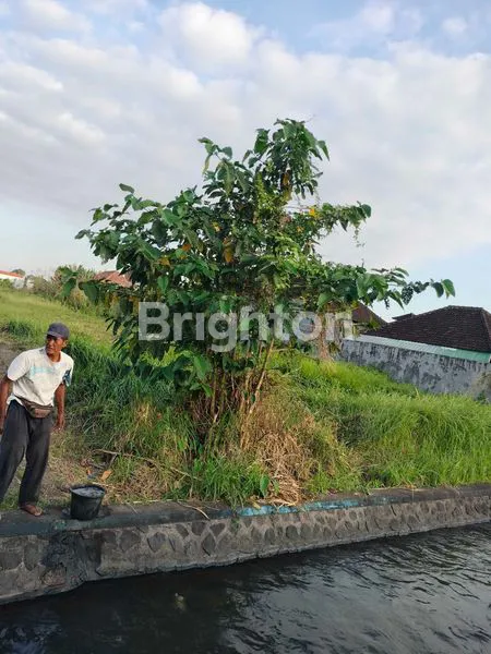 image DISEWAKAN TANAH DI PINGGIR JALAN 18 ARE (3)