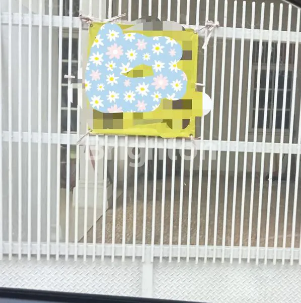 DIKONTRAKKAN RUMAH 3 LANTAI MALAKA COUNTRY JAKARTA TIMUR