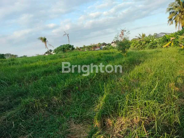 image DIJUAL TANAH JALAN NYANYI 10000M2 (3)