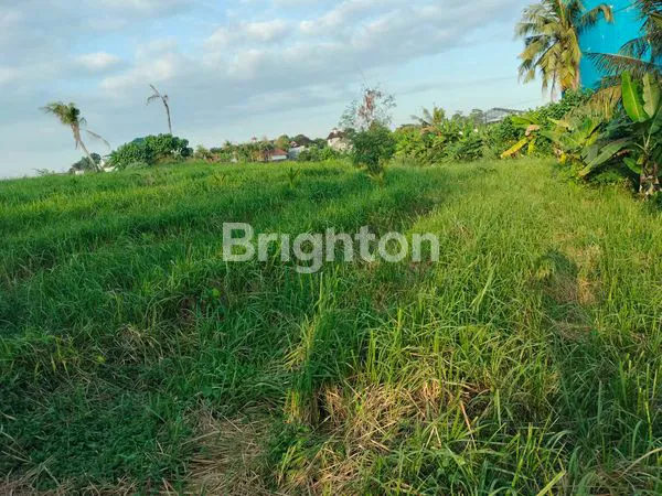 image DIJUAL TANAH JALAN NYANYI 10000M2 (4)