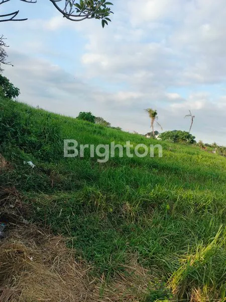 image DIJUAL TANAH JALAN NYANYI 10000M2 (2)