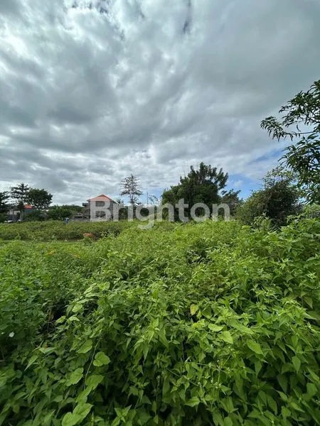 image TANAH KAVLING MURAH & STRATEGIS DI  KUTUH - KUTA SELATAN BALI (4)